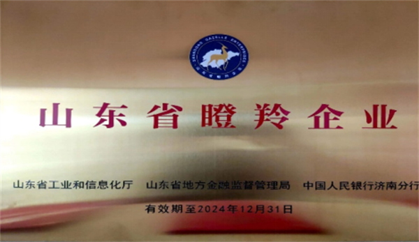 慶祝深藍(lán)機器榮獲山東省2021年度“瞪羚企業(yè)”榮譽稱號